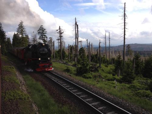 Apartamento Ferienapartments Am Brocken