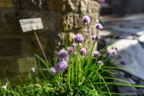 Hotel Staudacherhof History & Lifestyle