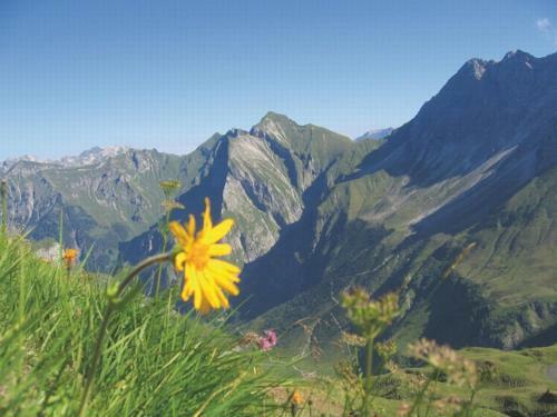 Apartamentos Bergzeit Ferienwohnungen