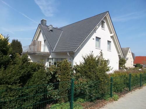 Strandamsel