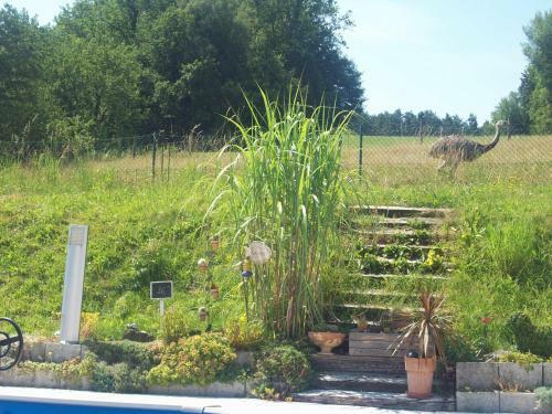 Hostal G�stehaus Fidelis