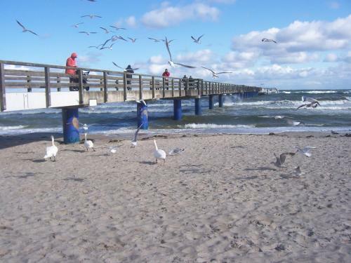 Apartamento Florida Haus Am Strand