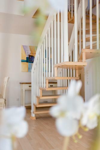 Apartamento Ferienwohnung Zum Kliff