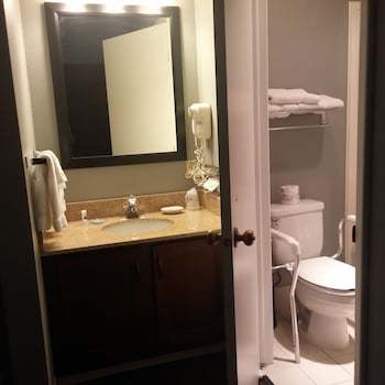 Hotel Best Western Cotton Tree Inn