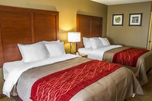 Hotel Comfort Inn