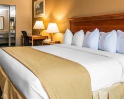 Hotel Holiday Inn Southfield