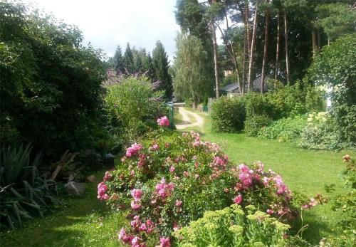 Ferienhaus Koelpinsee Use 2871