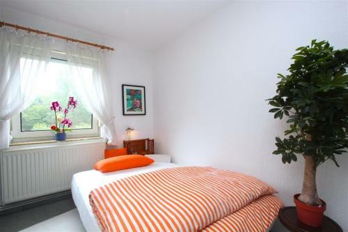 Fair Direct Private Apartment (6084)