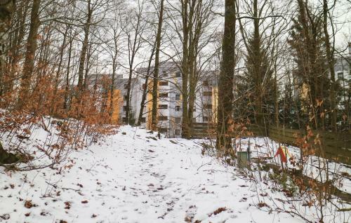 One-bedroom Apartment In Freyung