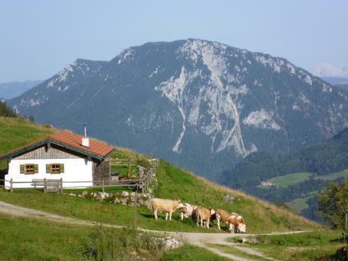 Apartamento Ferienwohnungen Hollweger