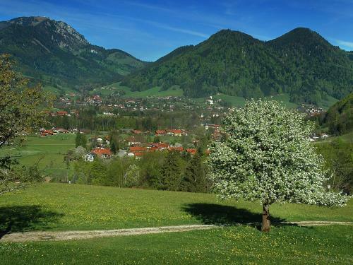Apartamento Ferienwohnungen Hollweger
