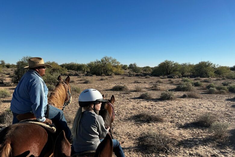 Hotel Sheraton Wild Horse Pass Resort & Spa