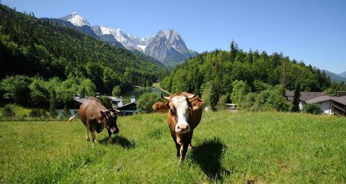 Riessersee Hotel Resort