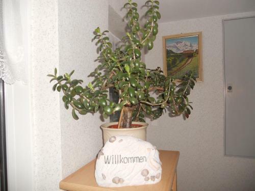 Apartamento Ferienhaus In Hafenn�he