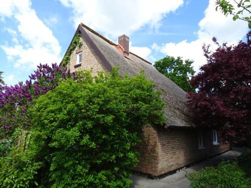 Apartamento Kapit�nshaus Breege