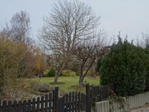 Apartamento Kapit�nshaus Breege