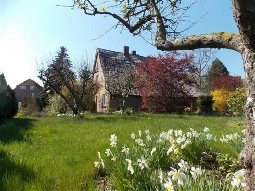 Apartamento Kapit�nshaus Breege