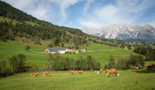 Agroturismo Rojerhof