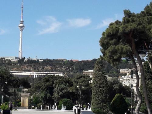 Apartamento Azadlig Street 3