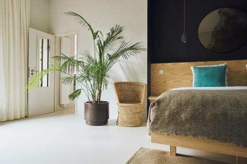 Hotel Jardin Secret
