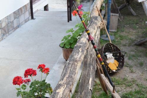 Hostal Koshov Guest House