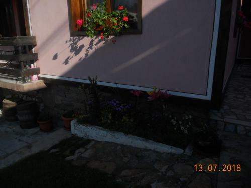 Hostal Jana's House
