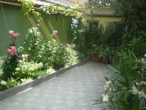 Hostal Guest House Ekaterina