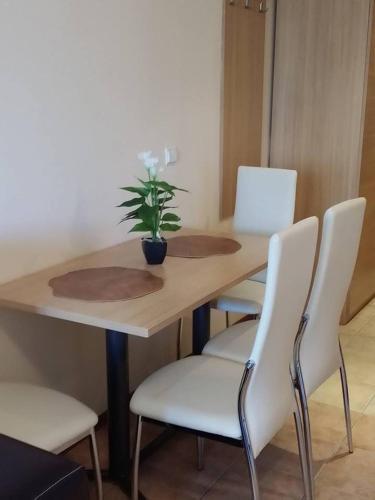Kaya House Apartment 8