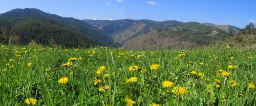 Yagodina Family Hotel