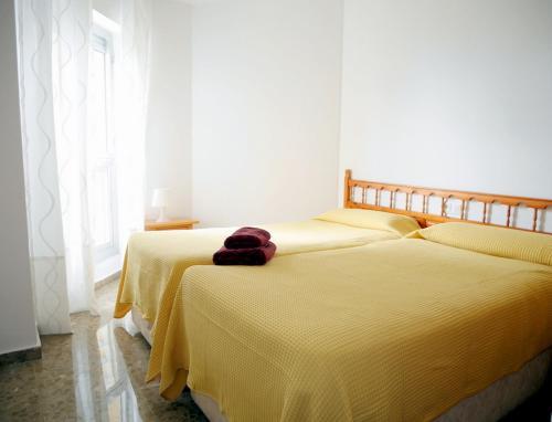 Apartamentos Orfeo Azul