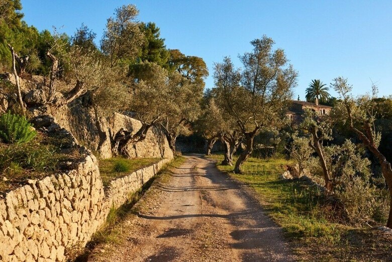 Hotel Mirab� De Valldemossa