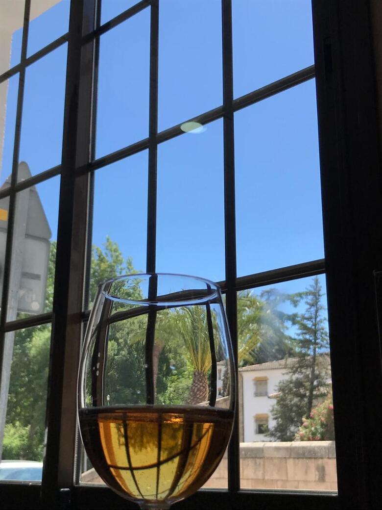 Hotel Col�n