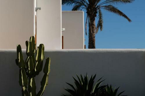 Apartamento La Posidonia