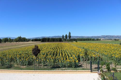 Apartamento Il Podere Di Francesco