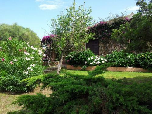 Apartamento Residence San Teodoro 1