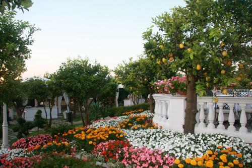 La Medusa Hotel & Boutique Spa