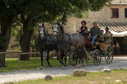 Agroturismo Il Felcino