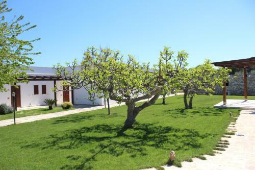 Agroturismo Masseria Valente