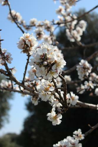 Agroturismo Masseria Valente