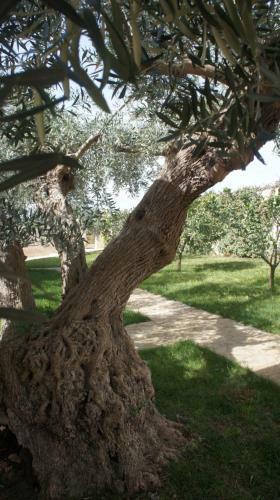 Hotel Relais Casina Miregia