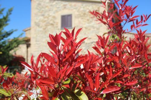 Apartamento Casale La Collina