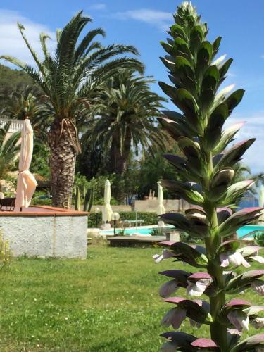 Hotel Albergo Romana