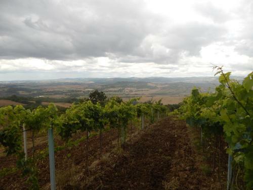 Agroturismo Piane Del Bagno