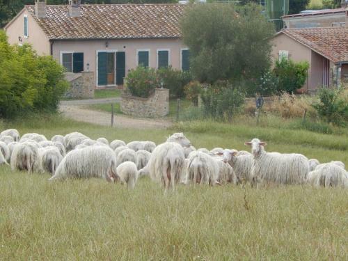 Agroturismo Piane Del Bagno