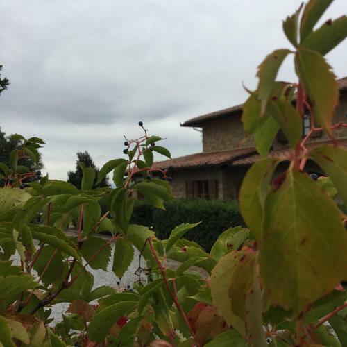 Agroturismo Il Gonzeto
