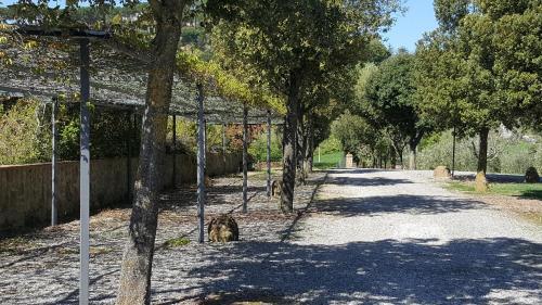 Agroturismo Il Gonzeto