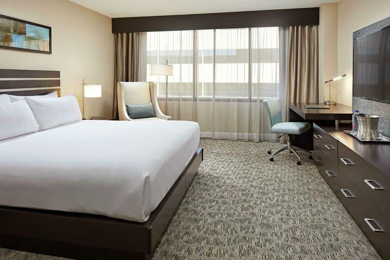 Hotel Hilton Houston Plaza/medical Center