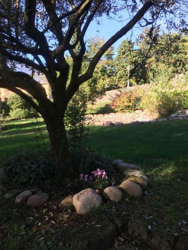 Agroturismo Resort La Mola