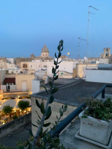 Apartamento Palazzo Dei Gesuiti