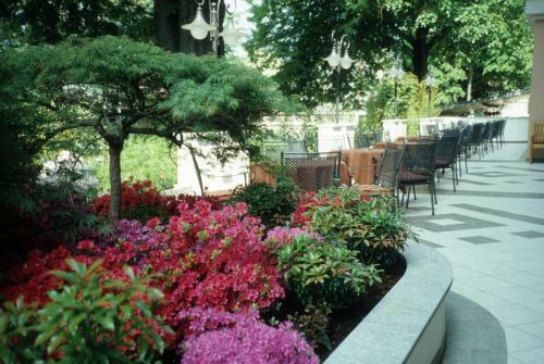 Hotel Isabella